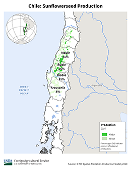 images\CI\cropprod\Chile_Sunflowerseed_preview.png